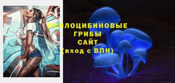 Альфа ПВП Алзамай