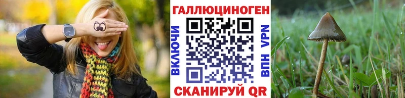 Галлюциногенные грибы GOLDEN TEACHER  дарк нет как зайти  Кировград  наркота 